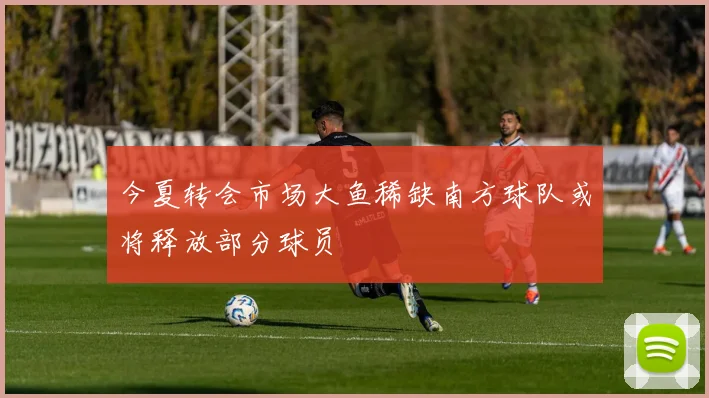 今夏转会市场大鱼稀缺南方球队或将释放部分球员