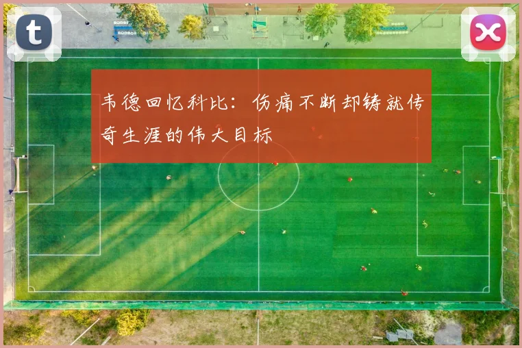 韦德回忆科比：伤痛不断却铸就传奇生涯的伟大目标